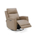 Renata SG Recliner P3 image