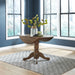 Carolina Crossing Drop Leaf Set image