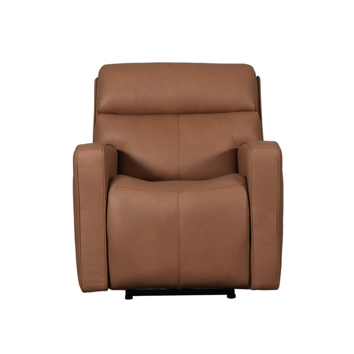 Chase SG Recliner P3 & ZG image